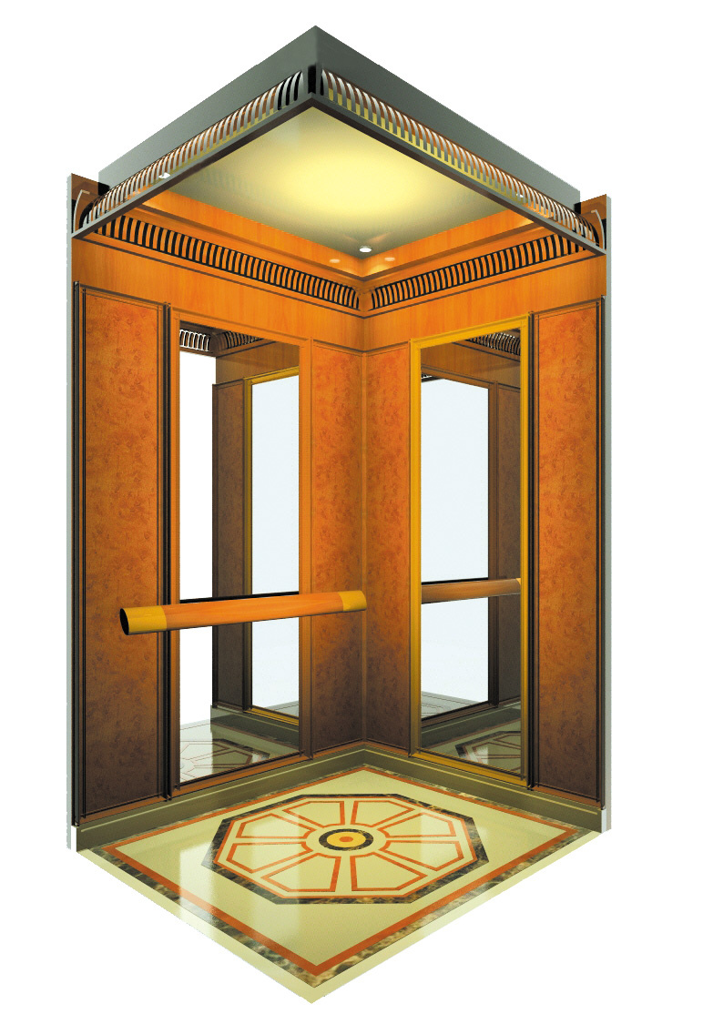 Villa Elevator /Home Elevator