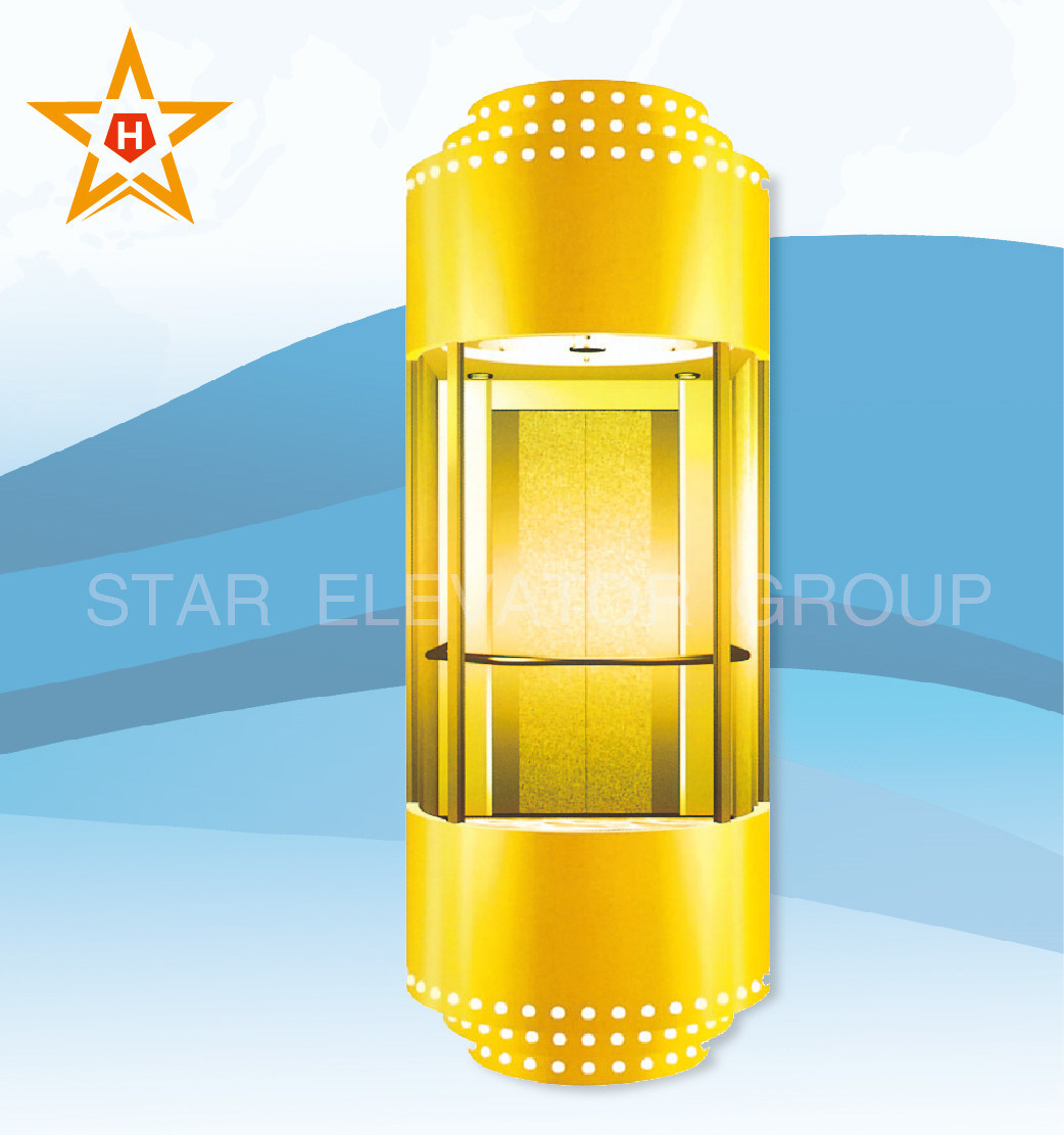 Golden Color Glass Panoramic 13, 10, 8 Person Passenger Elevator