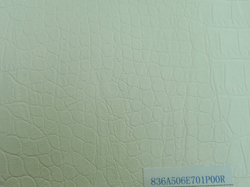 Embossed Artificial Leather for Garments (836A506E701P00R)