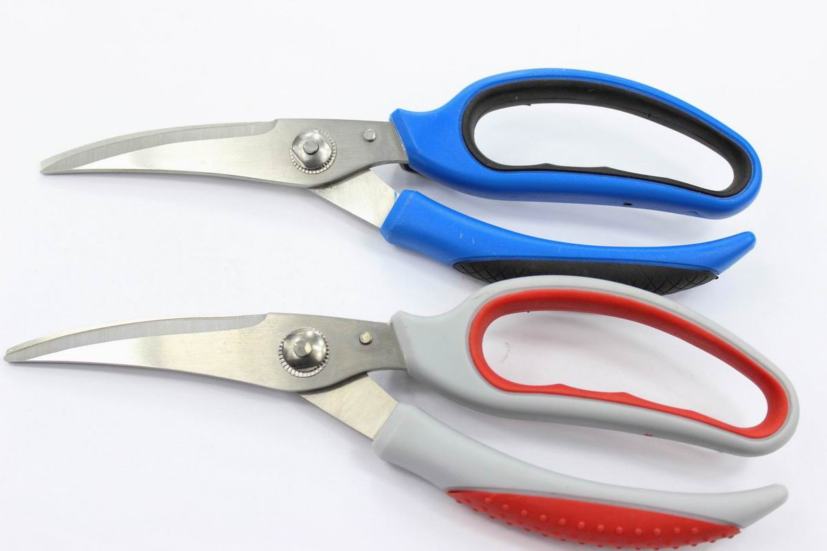 Kitchen Scissors