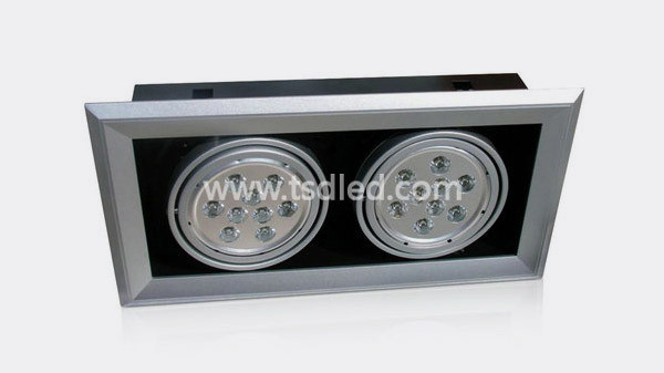 2x9W High Power LED Grille Spotlight (TD-GSW2x9x1)