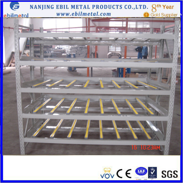 Q235 Industrial Warehouse Storage Carton Flow Rack (Ebil-LLHJ)