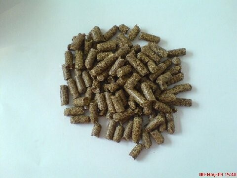 Apple Pomace