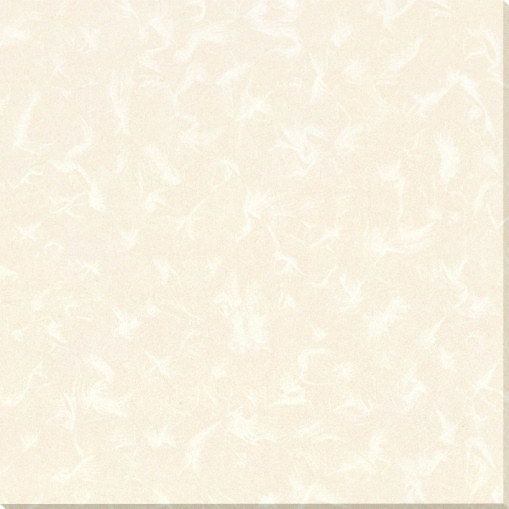 Polished Porcelain Tile (Soluble Salt Series 600x600)
