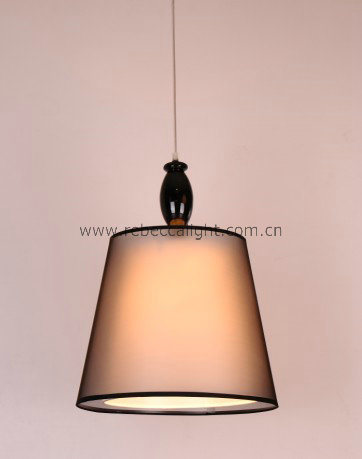 Indoor Decorative Resin Pendant Lamp