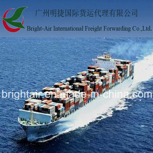 Efficient Sea Freight From China to Tumaco, Colombia
