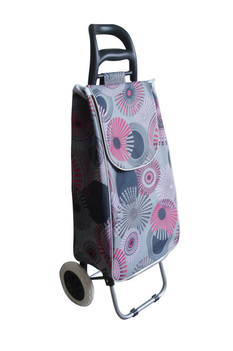 Shopping Trolley Bag with Beautiful Design Yx-108
