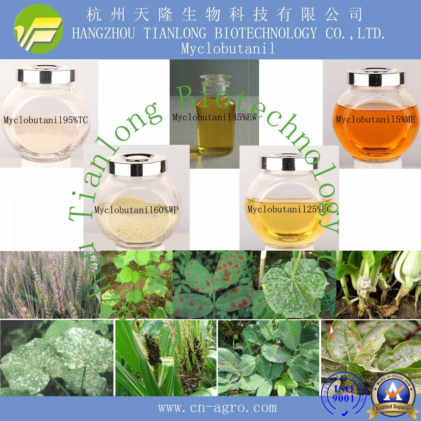Good Quality Fungicide Myclobutanil (95%TC, 12%EC, 25%EC, 40%WP, 60%WP, 5%ME, 45% EW)