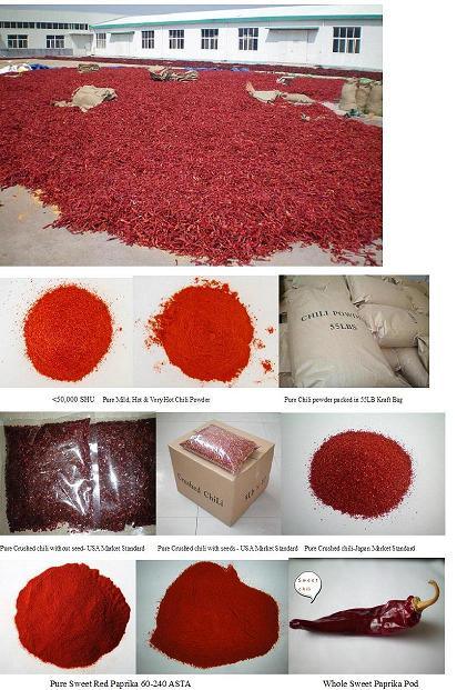 SGS/HACCP/FDA 100-220 Asta Sweet Red Paprika