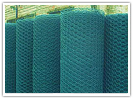 PVC Coated Hexagonal Netting S0085