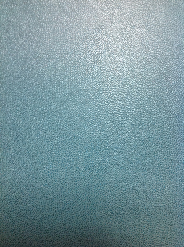 PU Leather for Shoes (Item No. 01005)