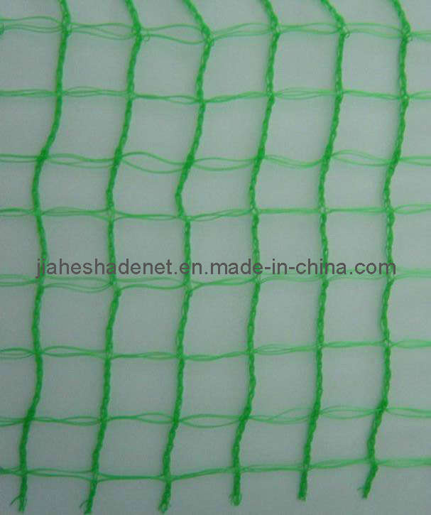 Olive Net