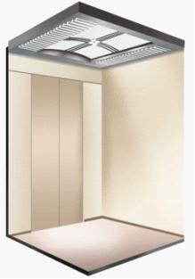 Roomless Passenger Elevator