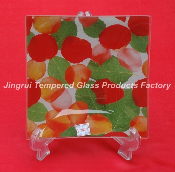 Tempered Glass Plate (JRFCOLOR0039)