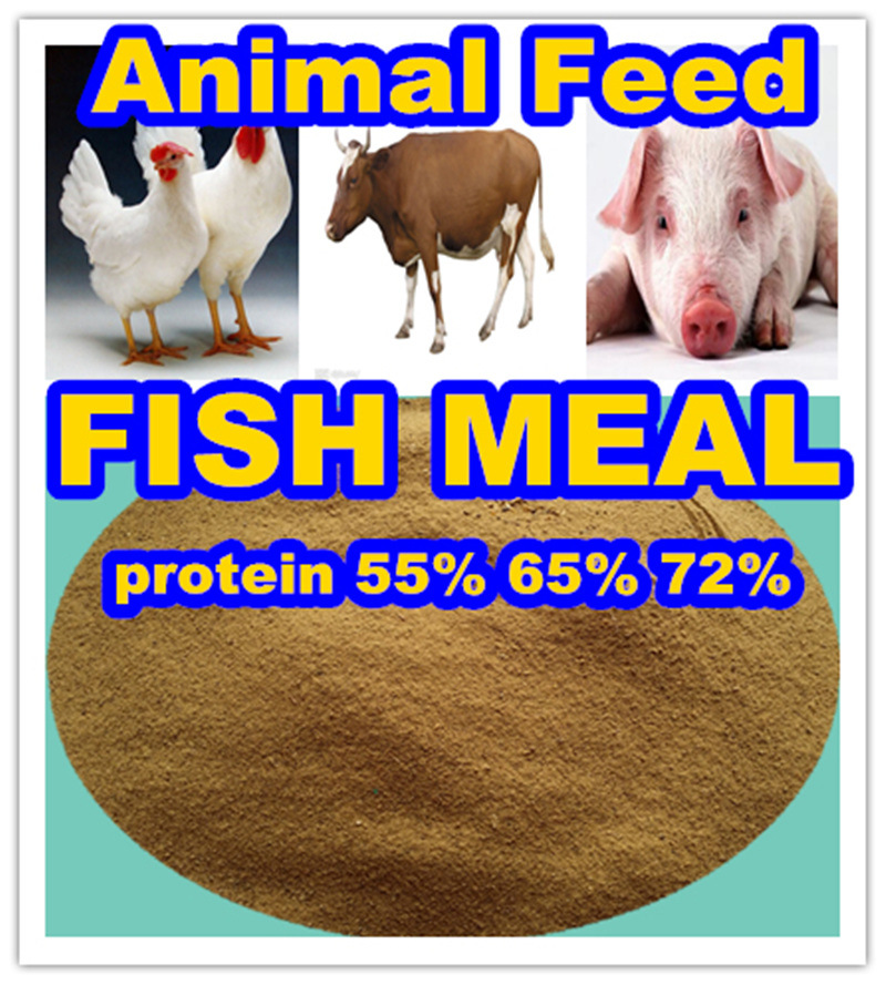 Fish Meal for Protein Powder for Feed Grade
