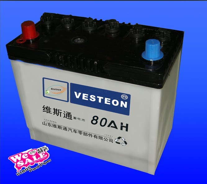 Dry Battery 12V80ah with Cheap Price