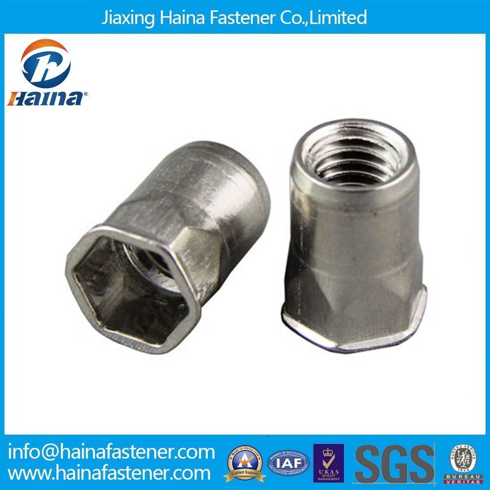 Reduce Small Head Inside&Outside Hexagonal Body Rivet Nut