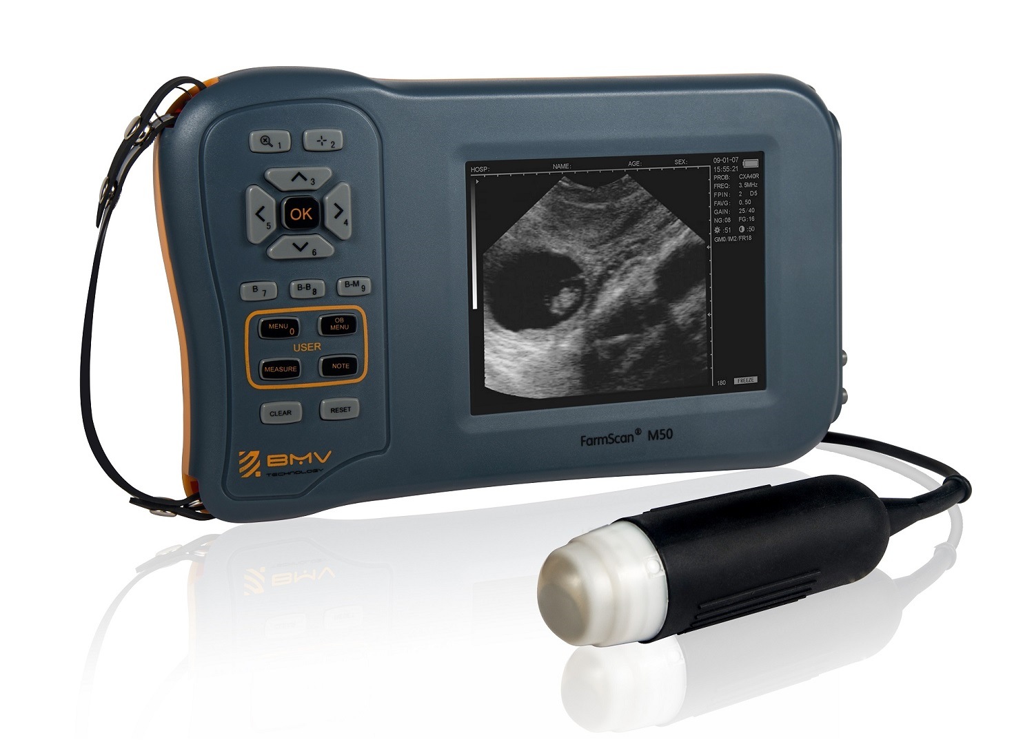 Handheld &Portable Veterinary Medical Ultrasound Equipment (Farmscan M50)