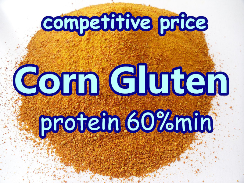 Animal Feed Corn Gluten with Best Quality