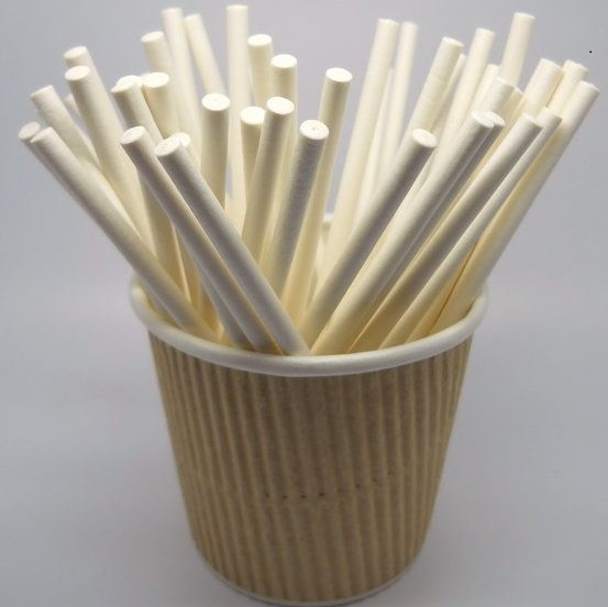 Paper Lollipop Stick