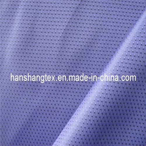 Polyester Dobby Lining Fabric for Down Jacket (HS-L1009)