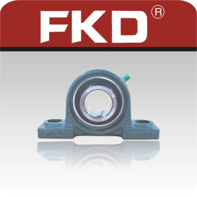 Pillow Block Bearings (UC)