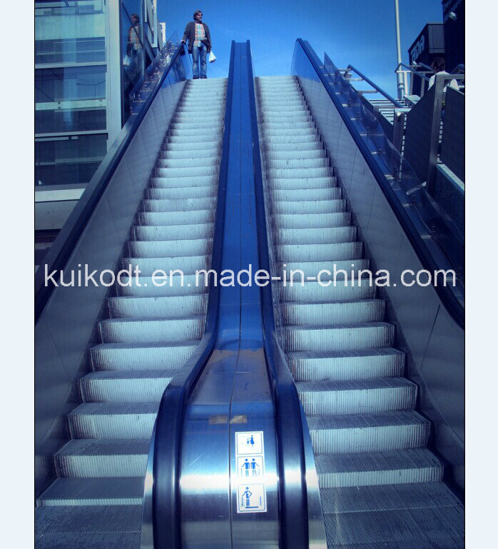 Passenger Elevator or Escalator