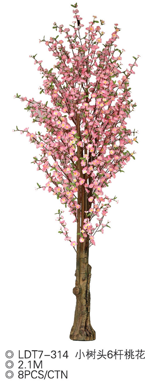 Cherry Tree