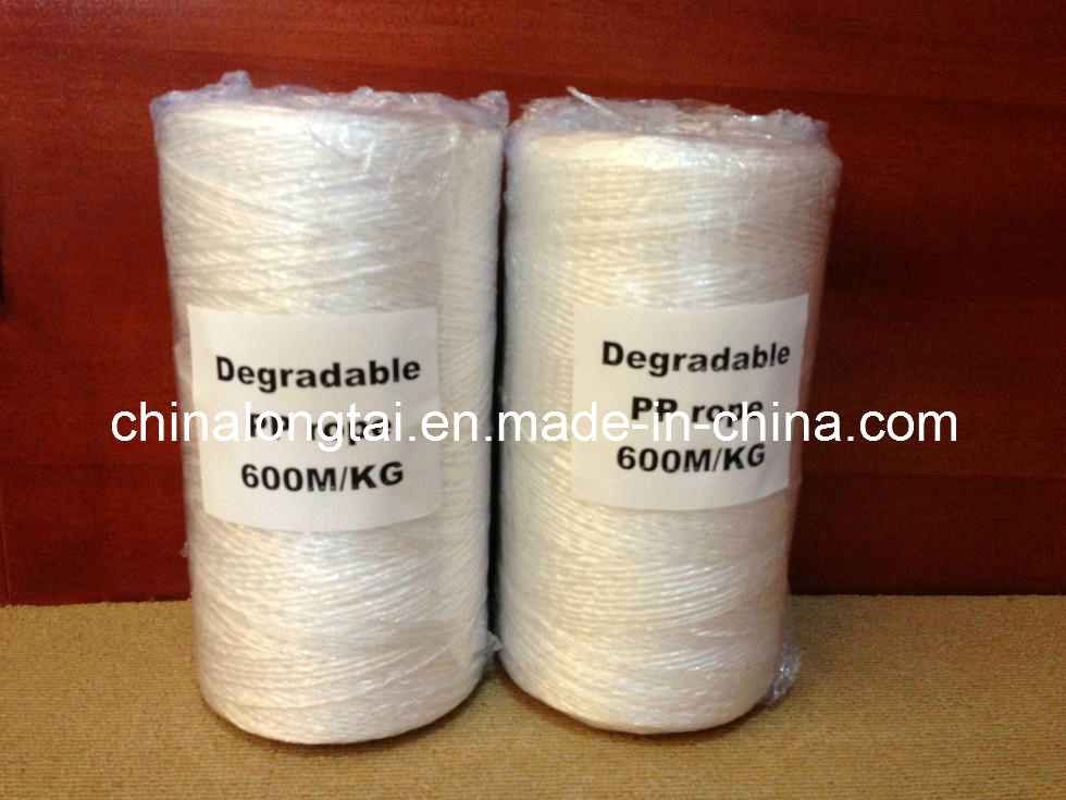 White PP Twine 1000m/Kg
