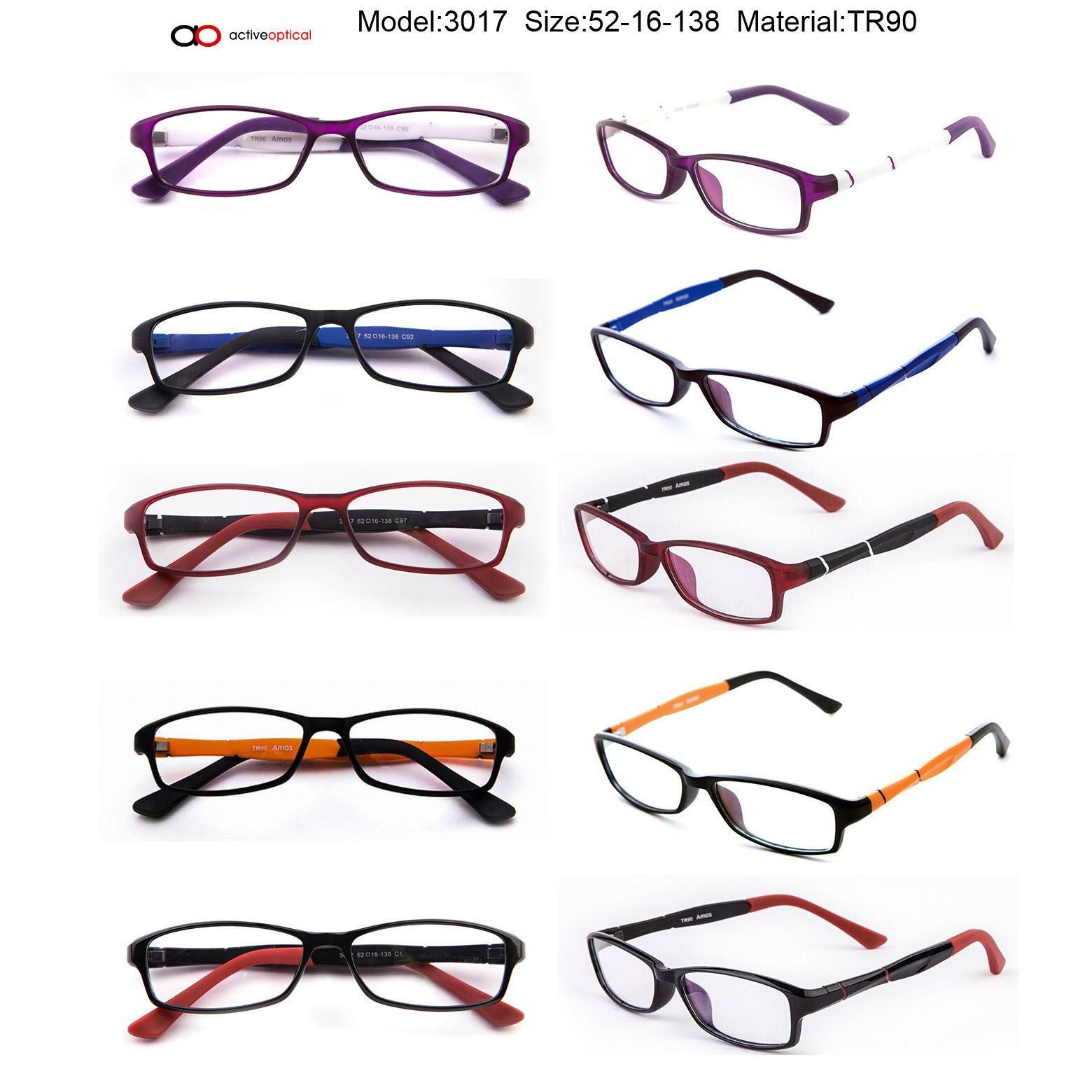 Tr90 Frame&Temple Memory Eyewear (3017)