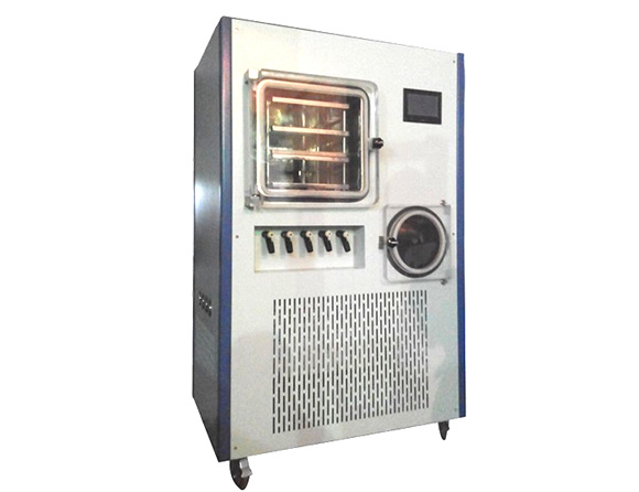 Fruits and Vegetable Lyophilizer Drying Machine (SJIA-100F)