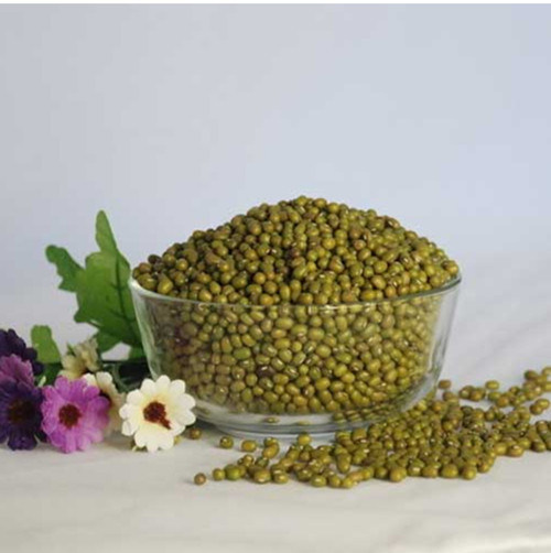 2015 Hot Sale! ! Non-Gmo Organic Dried Healthy Green Beans