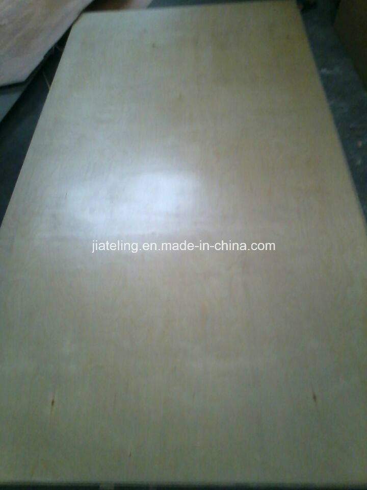 UV Surface Painted Birch Plywood