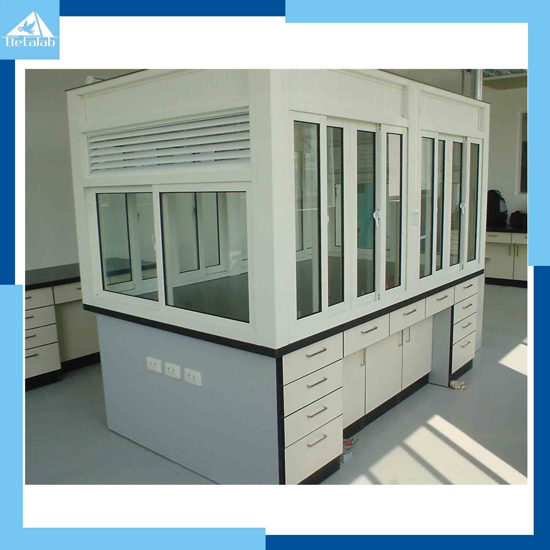 Biotechnology Laboratory Equipment Fume Hood (Beta-D-01-26b)