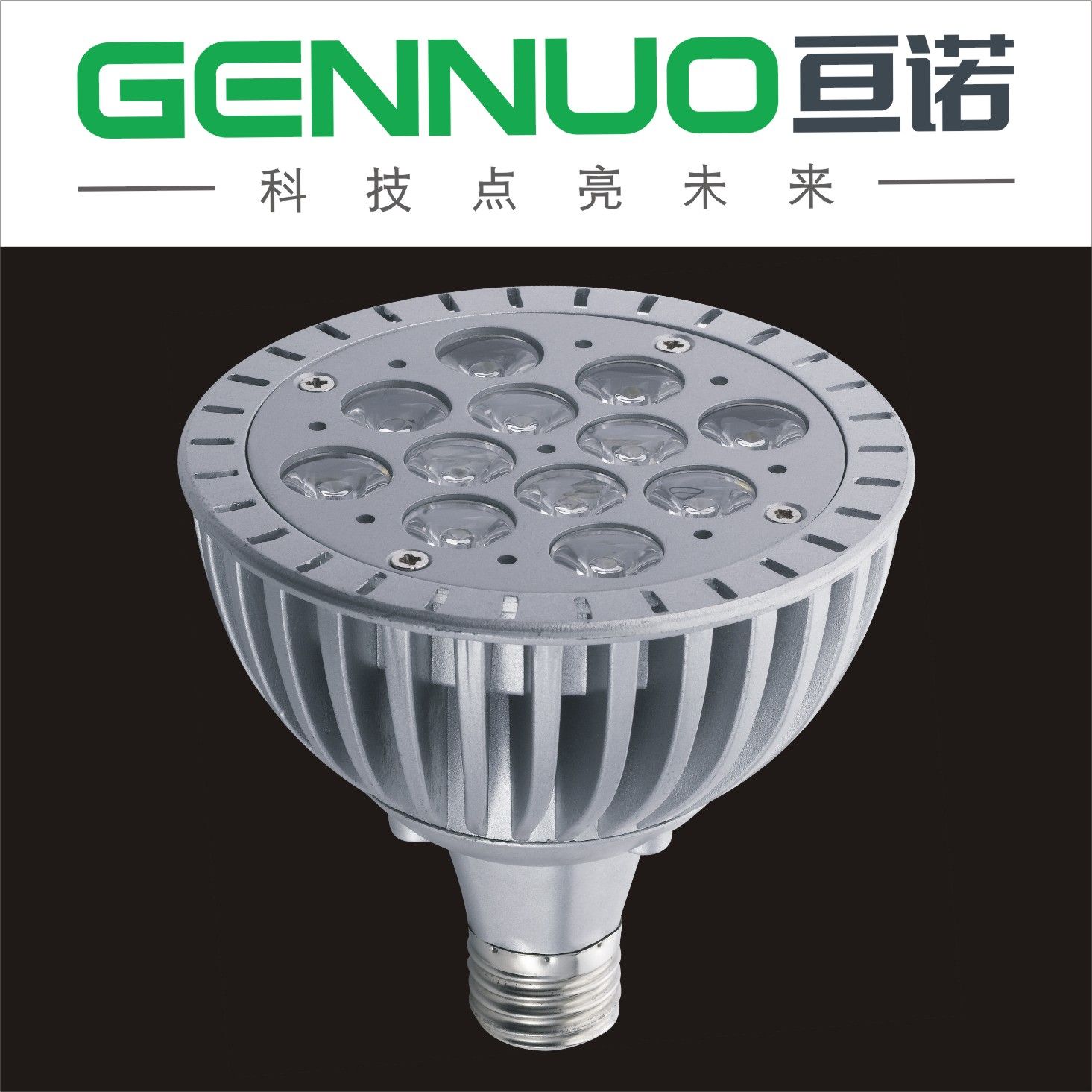 PAR 38 High Power LED Spotlight (GN-SDB-1107)