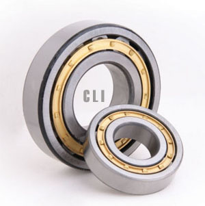 Cylindrical Roller Bearings