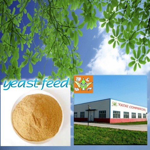 Feed Yeast/Dry Yeast for Animal Feed (devoted to animal nutrition))
