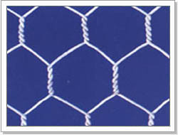Hexagonal Wire Mesh