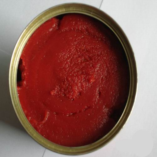 Tomato Paste / Tomato Ketchup/ Ketchup