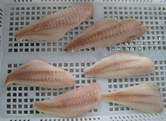 Redfish Fillet Product