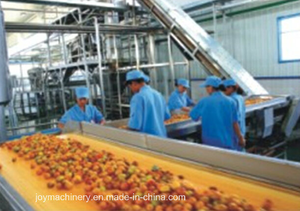 Professional Juice Production Turnkey Project