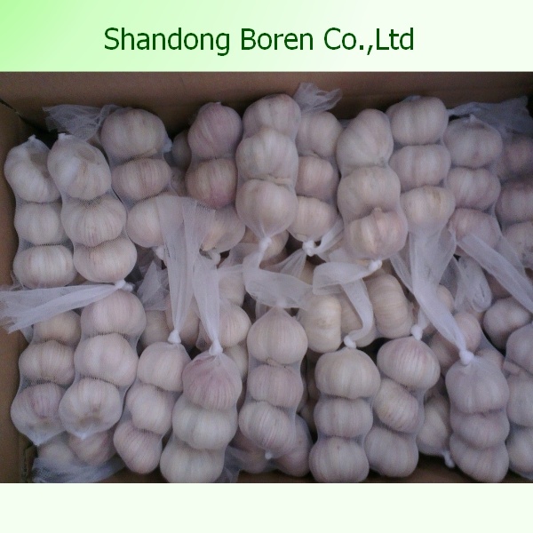 Export Shandong Pure &Normal White Garlic