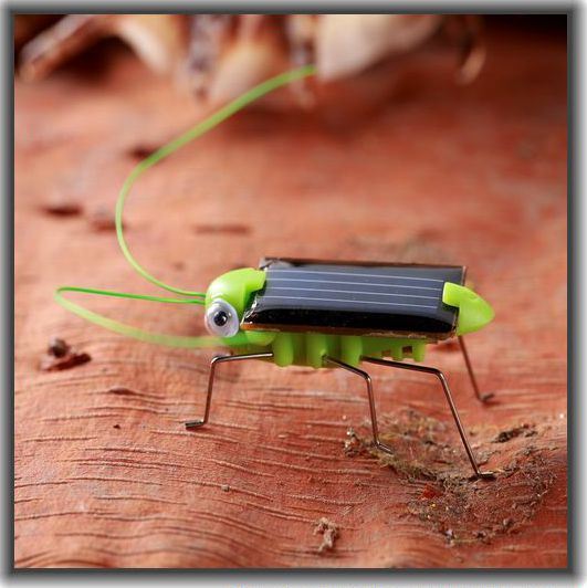 Green Energy Product Intellectual DIY Solar Toy Kit Insect Locust Grasshopper 054