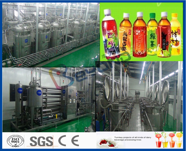 Hot Filling Bottled Juice Processing Plant (1-40TPH)