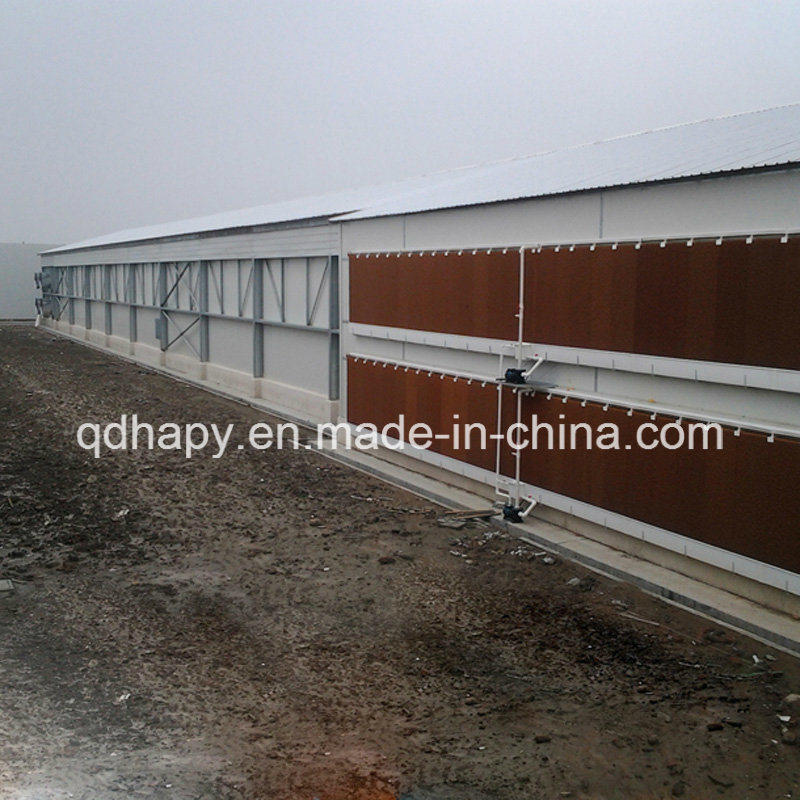 Prefab Steel Structure House with Full Set Poultry Equipment