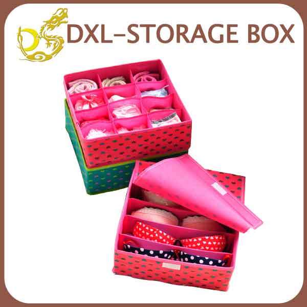 Under Ware Collection Non Woven Storage Box with Lid