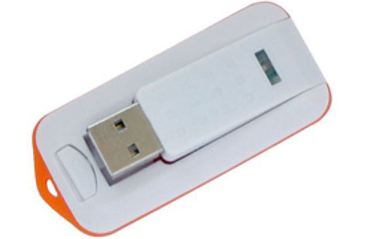 USB Plastic Pen Drive USB Flash Disk/USB Disk