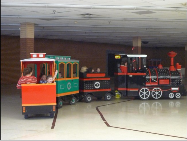 Mini Train