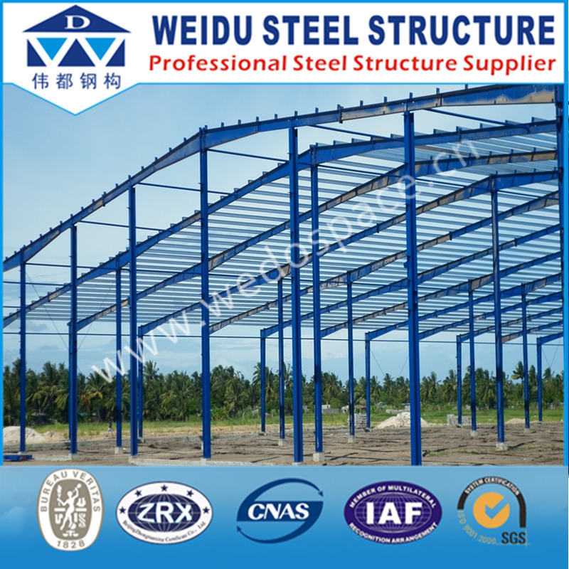 Space Frame Steel Structure (WD101408)