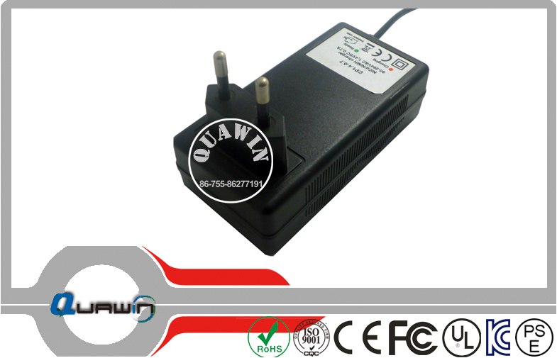 3.65V 1.5A Lithium LiFePO4 Battery Charger